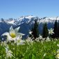 My Favorite Things In Washington State's National Parks
