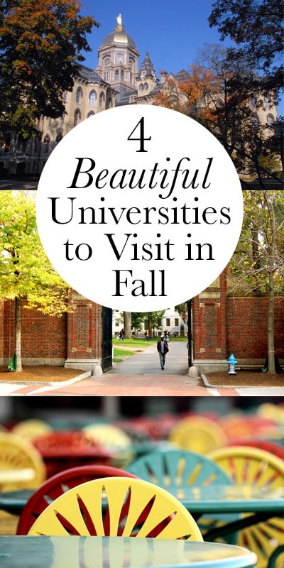 There's nothing quite like fall on campus. Here are a few schools worth checking out in autumn.