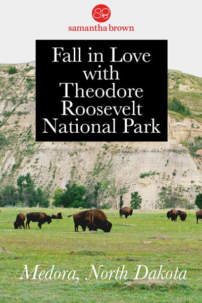 Theodore Roosevelt National Park may not be a well-known park, but it certainly offers an irresistibly rugged and—dare I say—wild side.