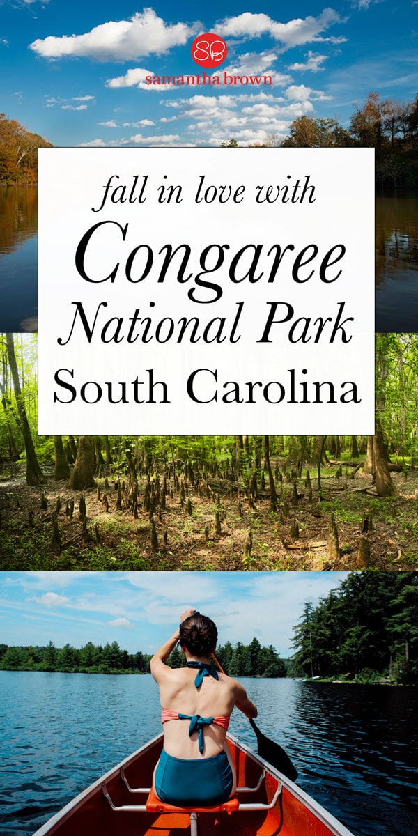 Love canoeing, kayaking and hiking? Here's why you should swipe right on South Carolina's Congaree National Park.
