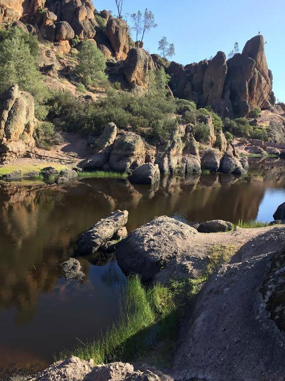 Fall in love with Pinnacles National Park