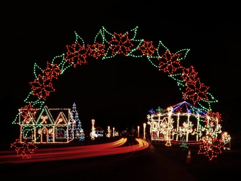 The Best DriveThru Christmas Lights in the US Samantha
