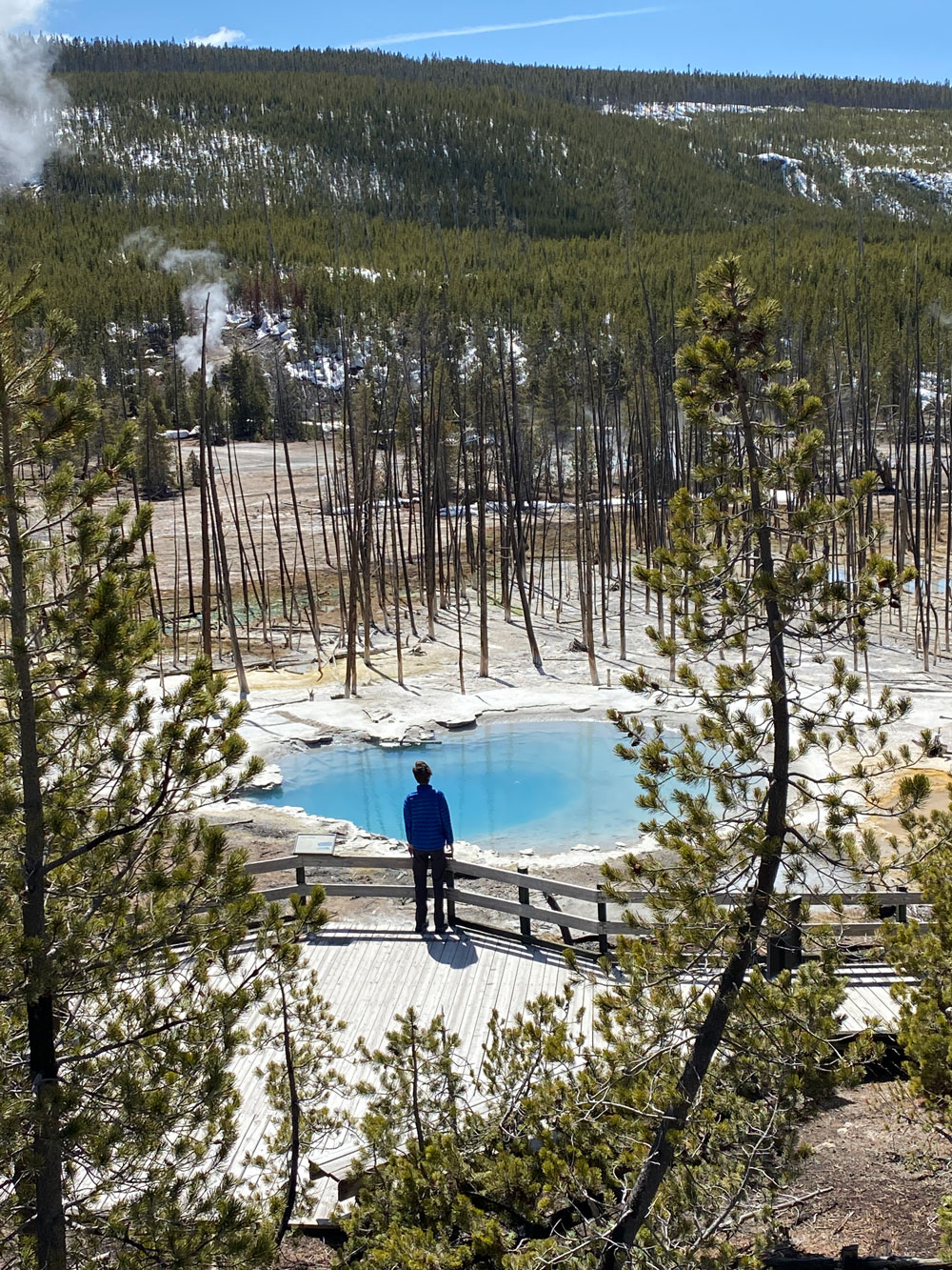 A Local's Guide to Yellowstone National Park