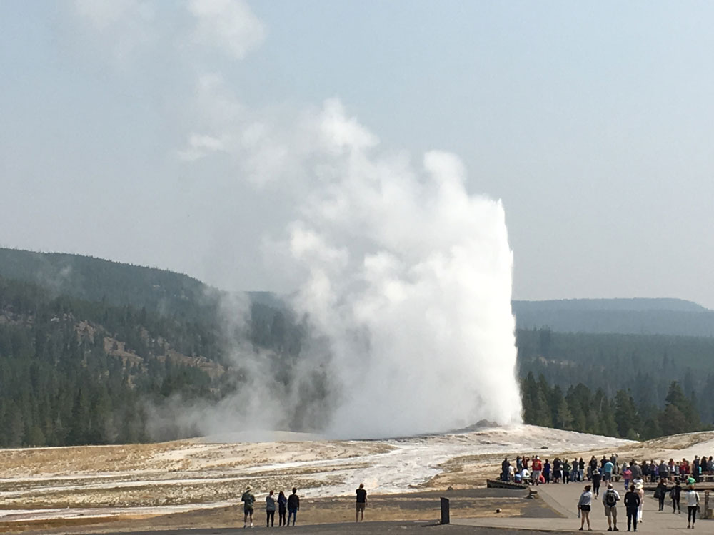 A Local's Guide to Yellowstone National Park