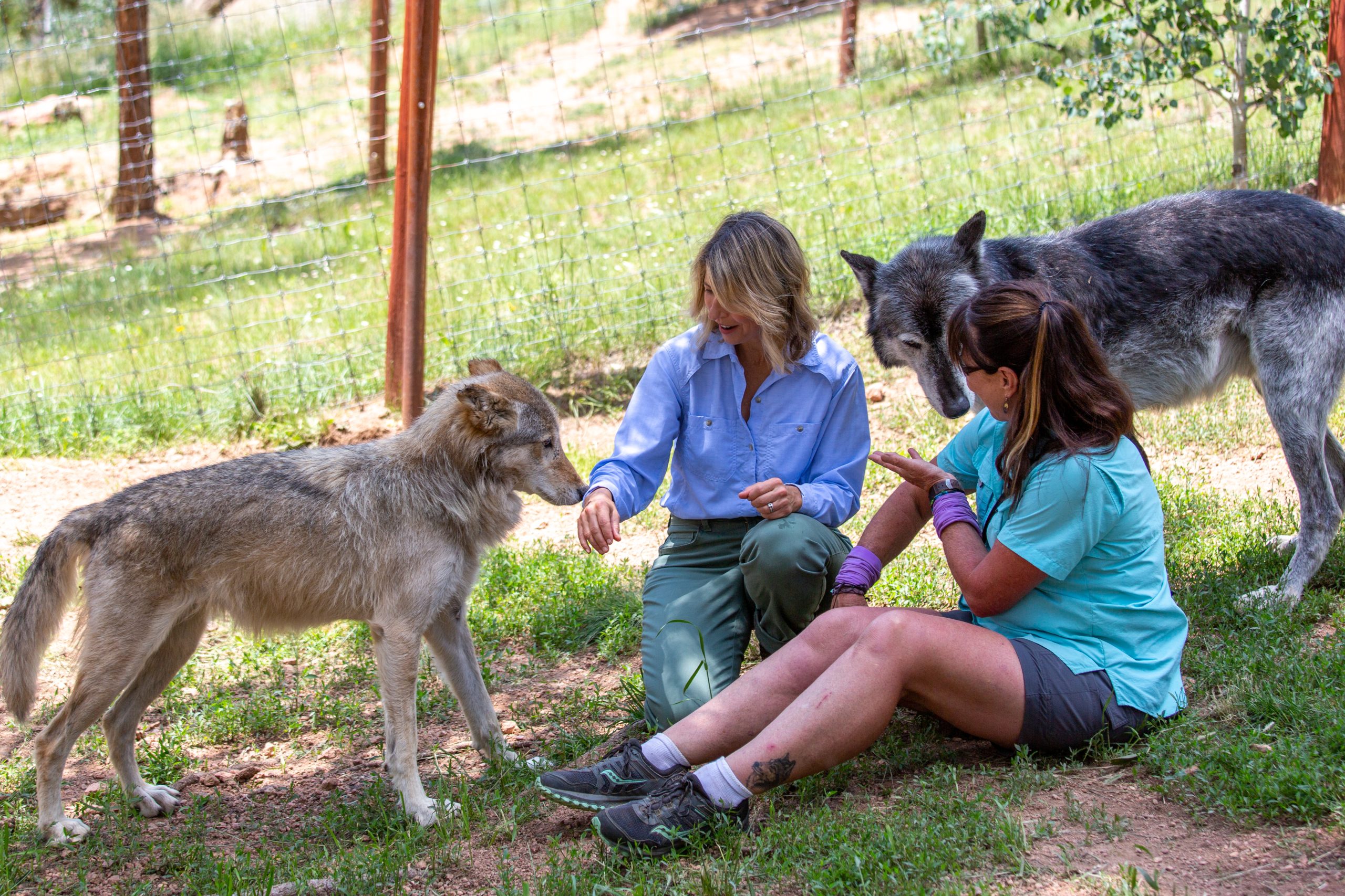Wolf Santuary_Colorado Springs, CO_Samantha Brown_Places to Love