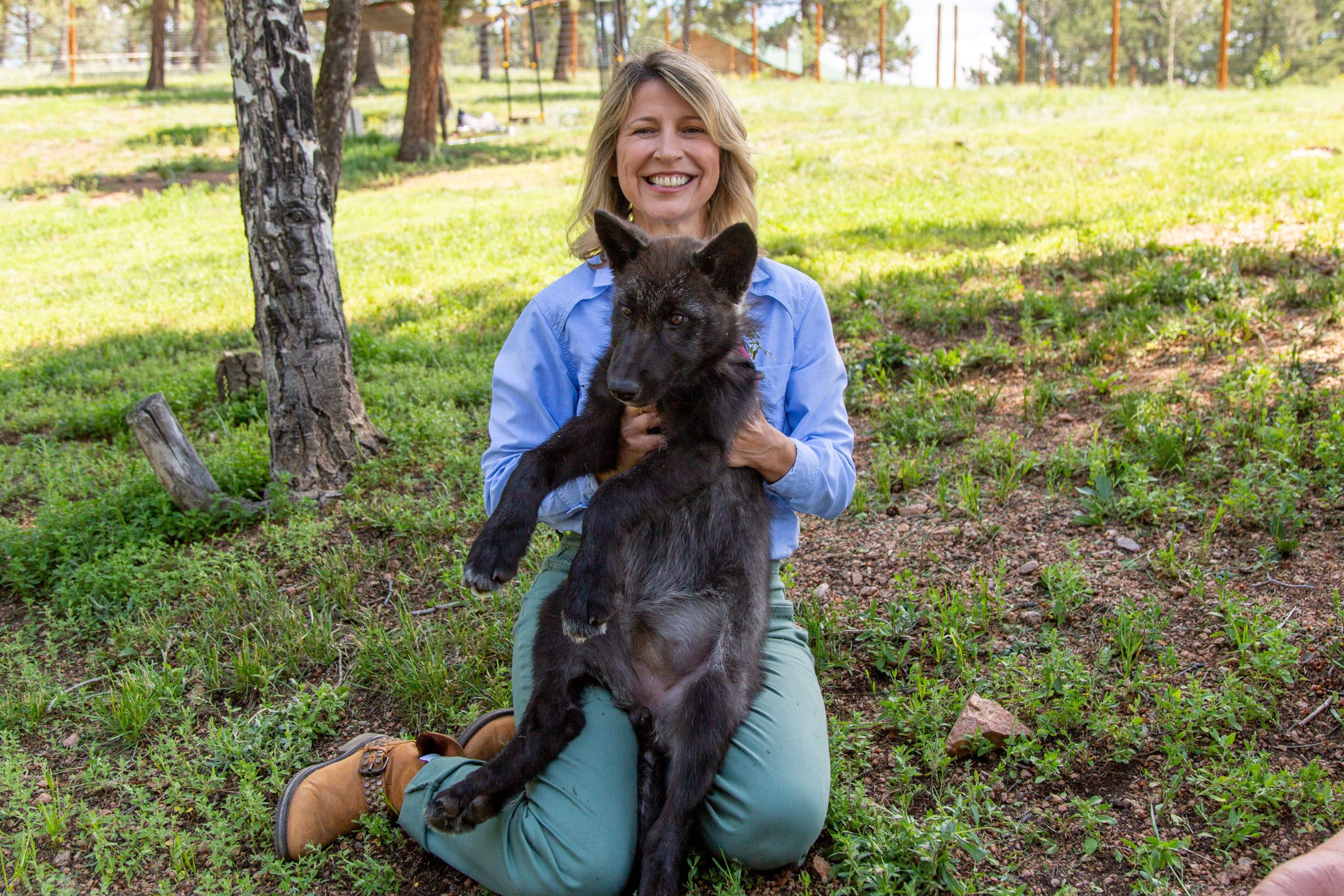Samantha Brown visits wolves in Colorado Springs
