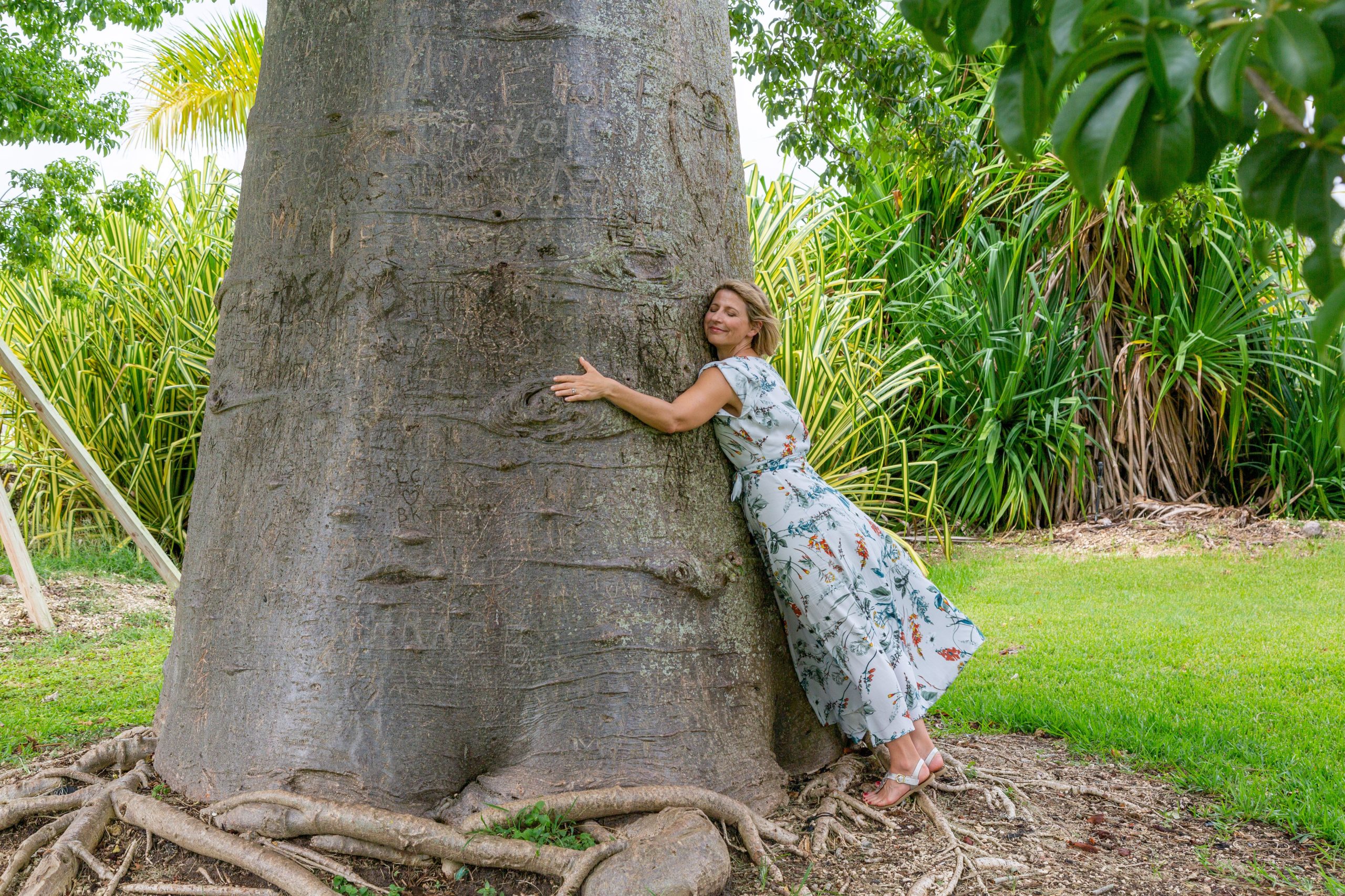 Samantha hugs a tree in Miami Florida